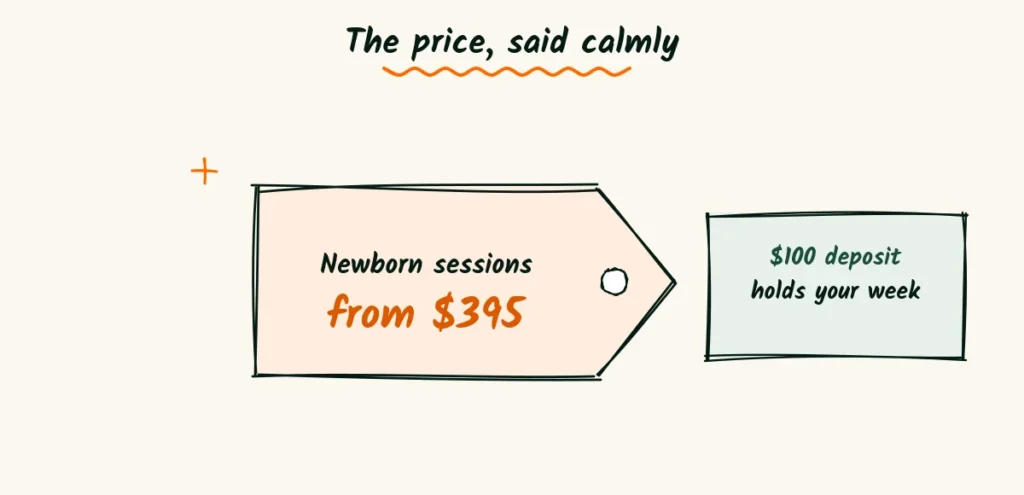 The price, said calmly A doodle price tag that says newborn sessions from 5 beside a note about a 0 deposit holding your week