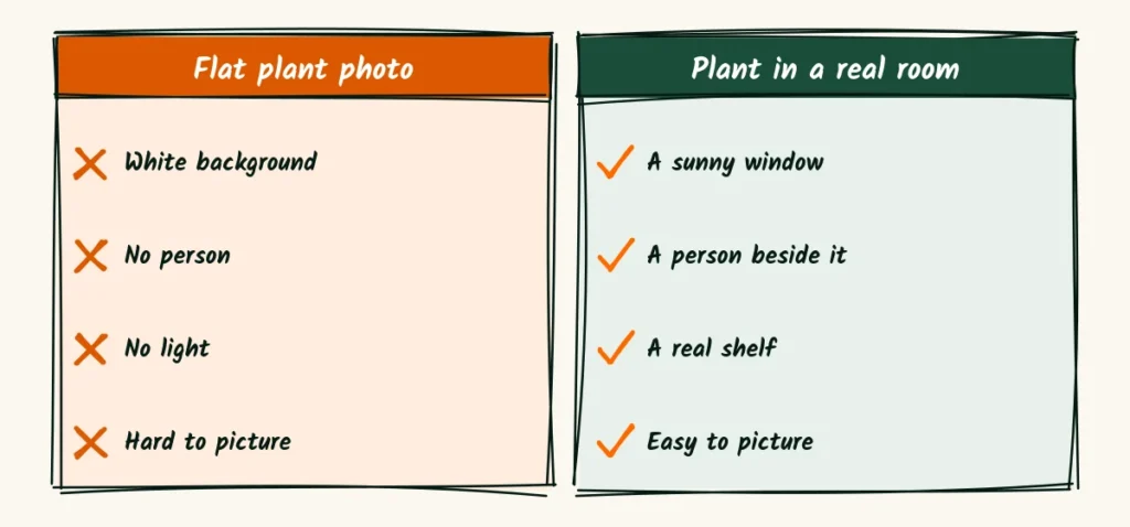 Flat photo or lively photo A doodle comparison of a flat plant photo on a white sheet and a lively plant photo in a sunny room with a person